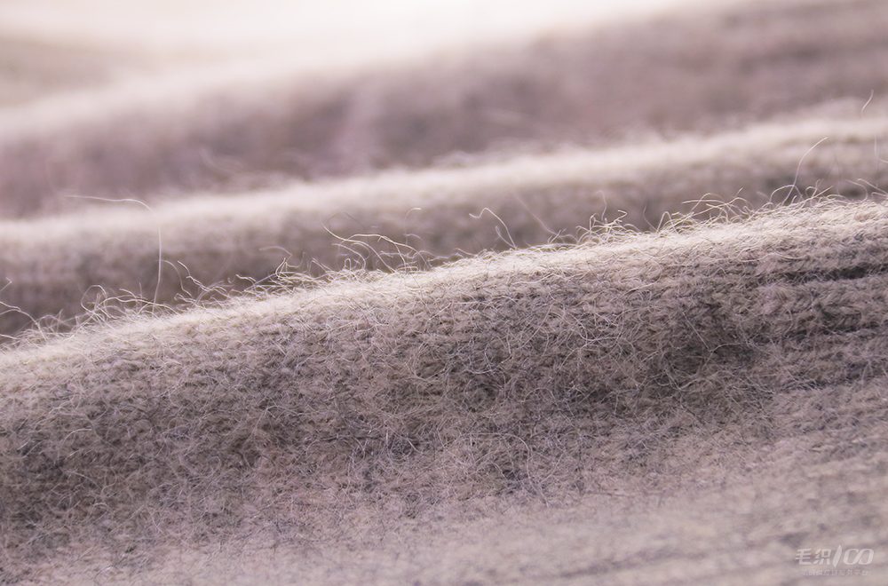 24NM Premium Raccoon Down Woolen Wool & Cashmere